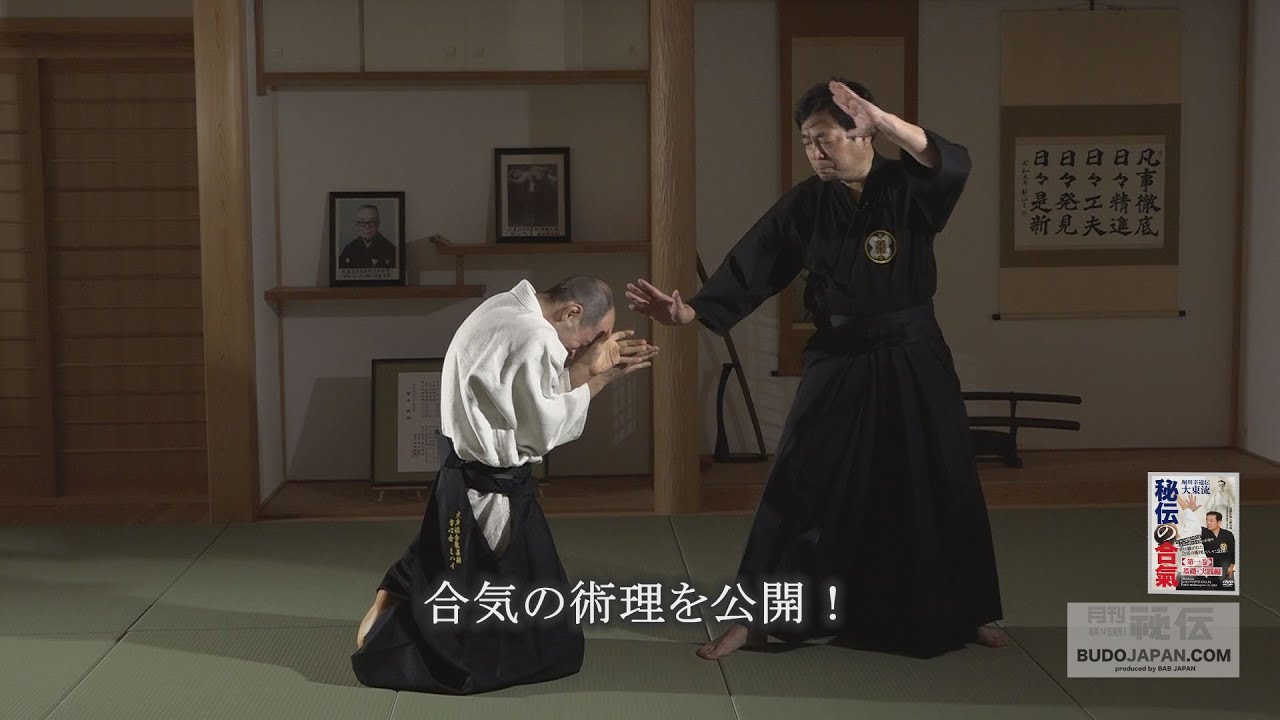 DVD 秘伝の合氣 第一巻