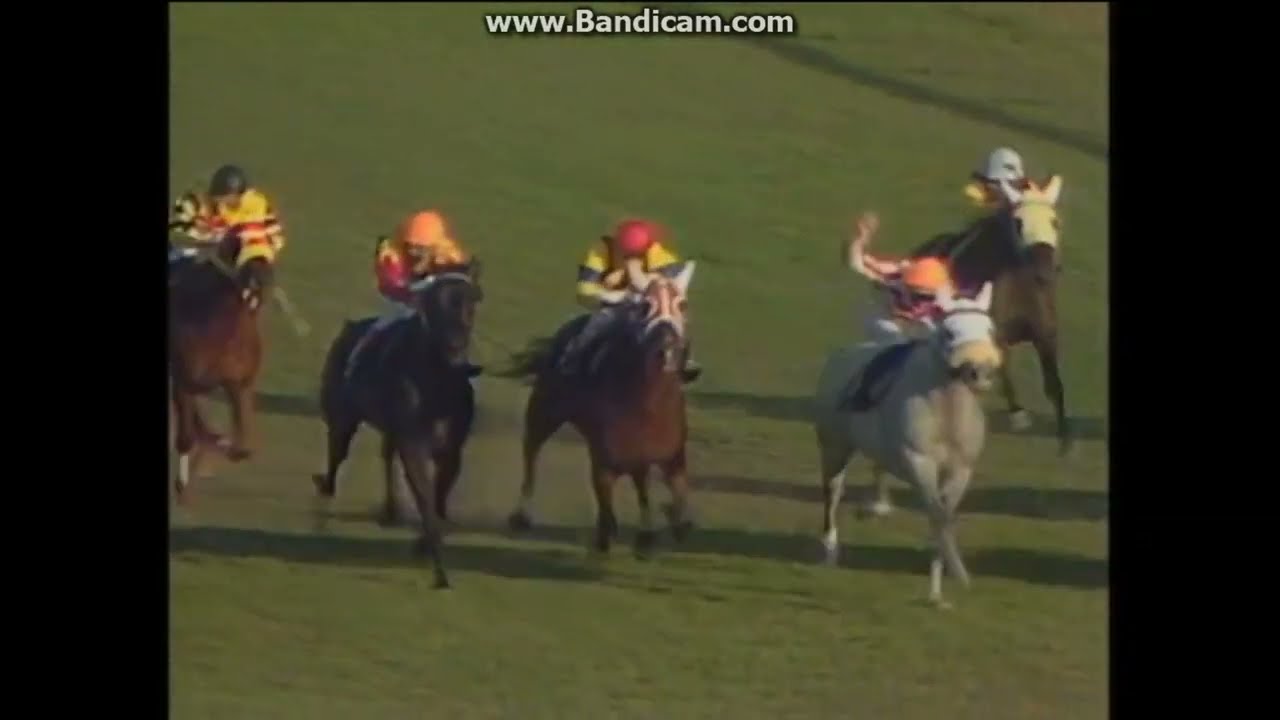 1985 天皇賞 秋 ギャロップダイナ - YouTube