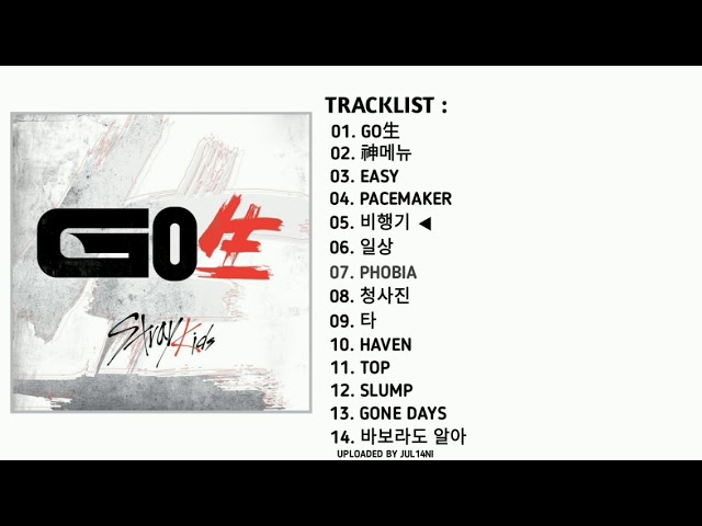 STRAYKIDS (스트레이키즈) - 1ST ALBUM 'GO生' [FULL ALBUM] - YouTube