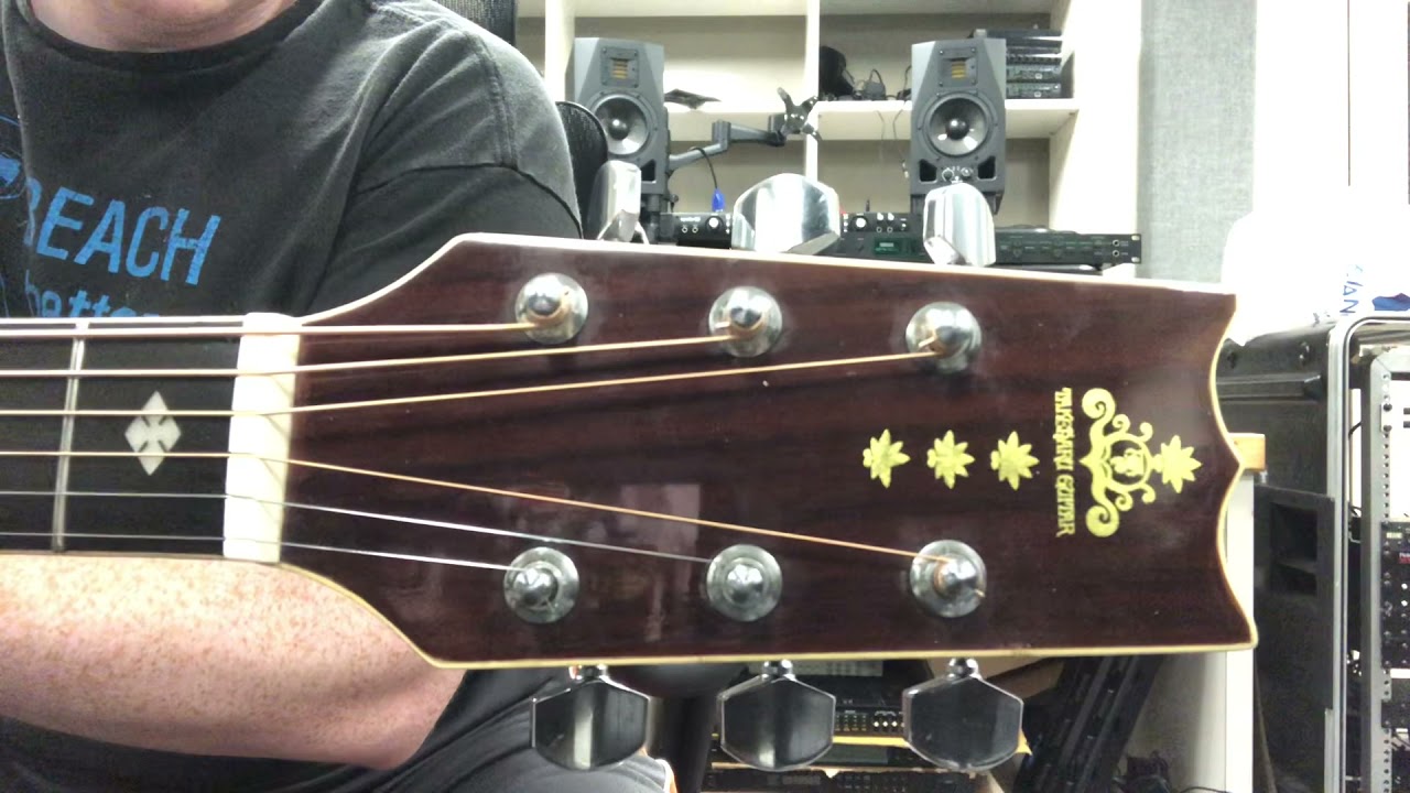 Takeharu WT-250 Acoustic Guitar - YouTube