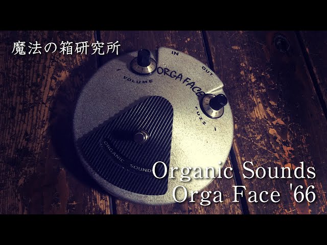Organic Sounds Orga Face '66 サウンドレビュー！ 【魔法の箱研究所