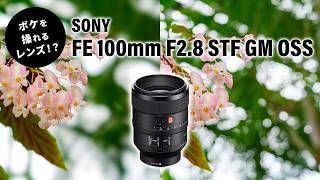 SONY FE 100mm F2.8 STF GM 実機レビュー｜唯一無二のなめらかボケ