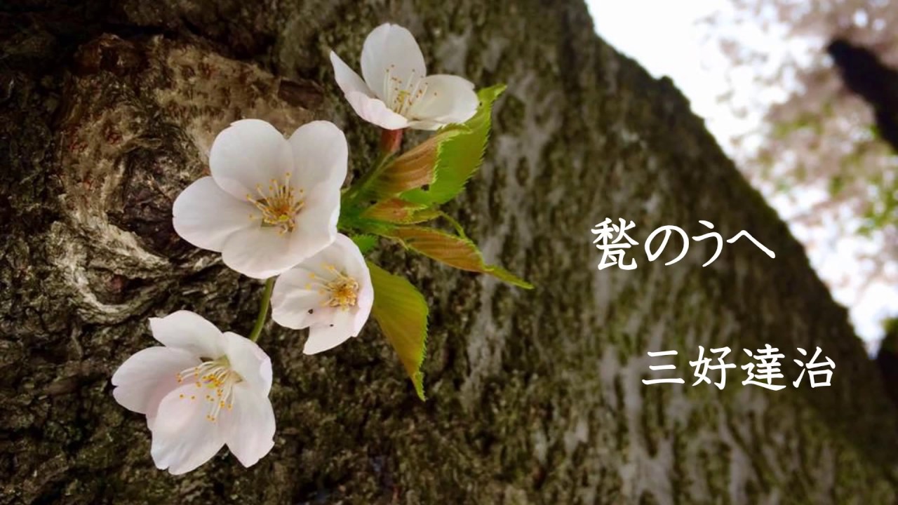 甃のうへ | かっちゃんねる教育