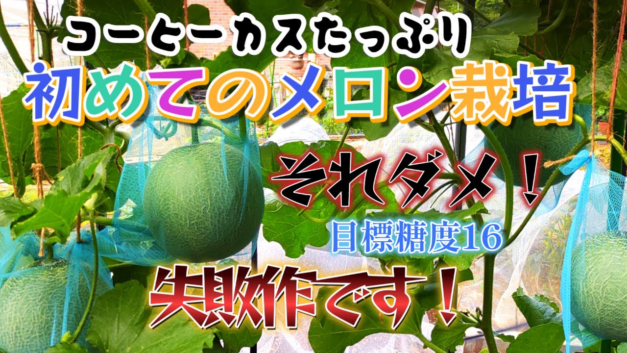 Illustrated] A complete guide to growing pumpkins, watermelons