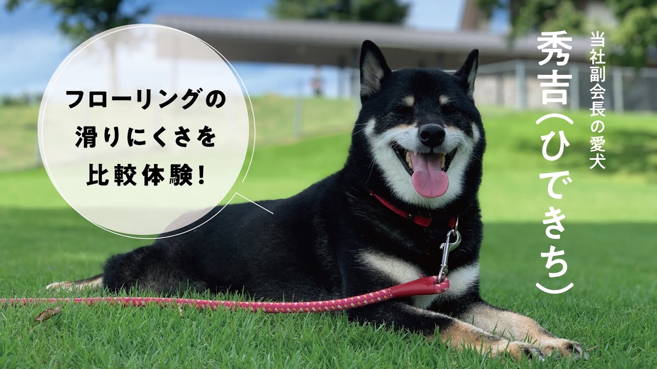 ライブナチュラルMSX スーパー6 for Dog｜ライブナチュラル