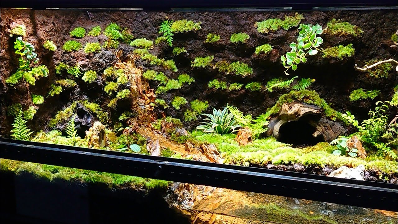 I want to make an aquarium with a waterfall【part21】 - YouTube