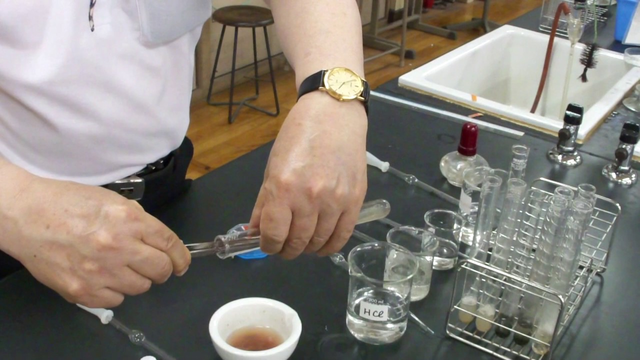 Catalase experiment (function of enzymes) High school biology