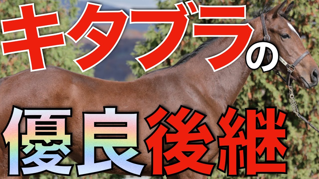 スキル＆クロワ・キタサンブラック継承ヒストリー Long-awaited] A new