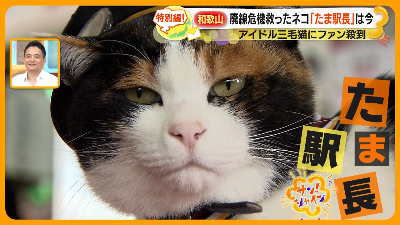 あのニュース】和歌山の廃線危機を救ったネコ ｢たま駅長｣ は今
