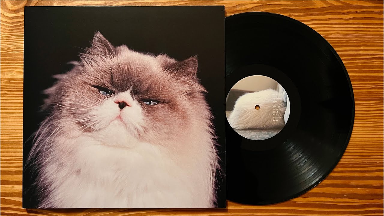 カネコアヤノ「燦々」Kaneko Ayano full album 2019 レコード VINYL