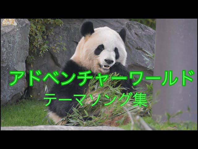 アドベンチャーワールドテーマソング集 BGM用 ADVENTURE WORLD - YouTube