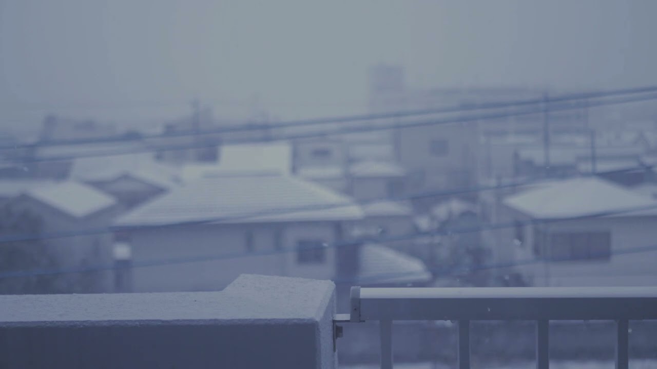 mamomo | まもも家