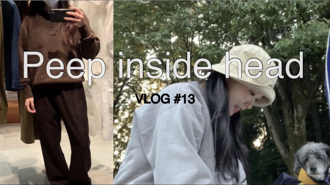 sub) Shopping at IKIJI＋Autumn picnic🐕 VLOG #13 - YouTube