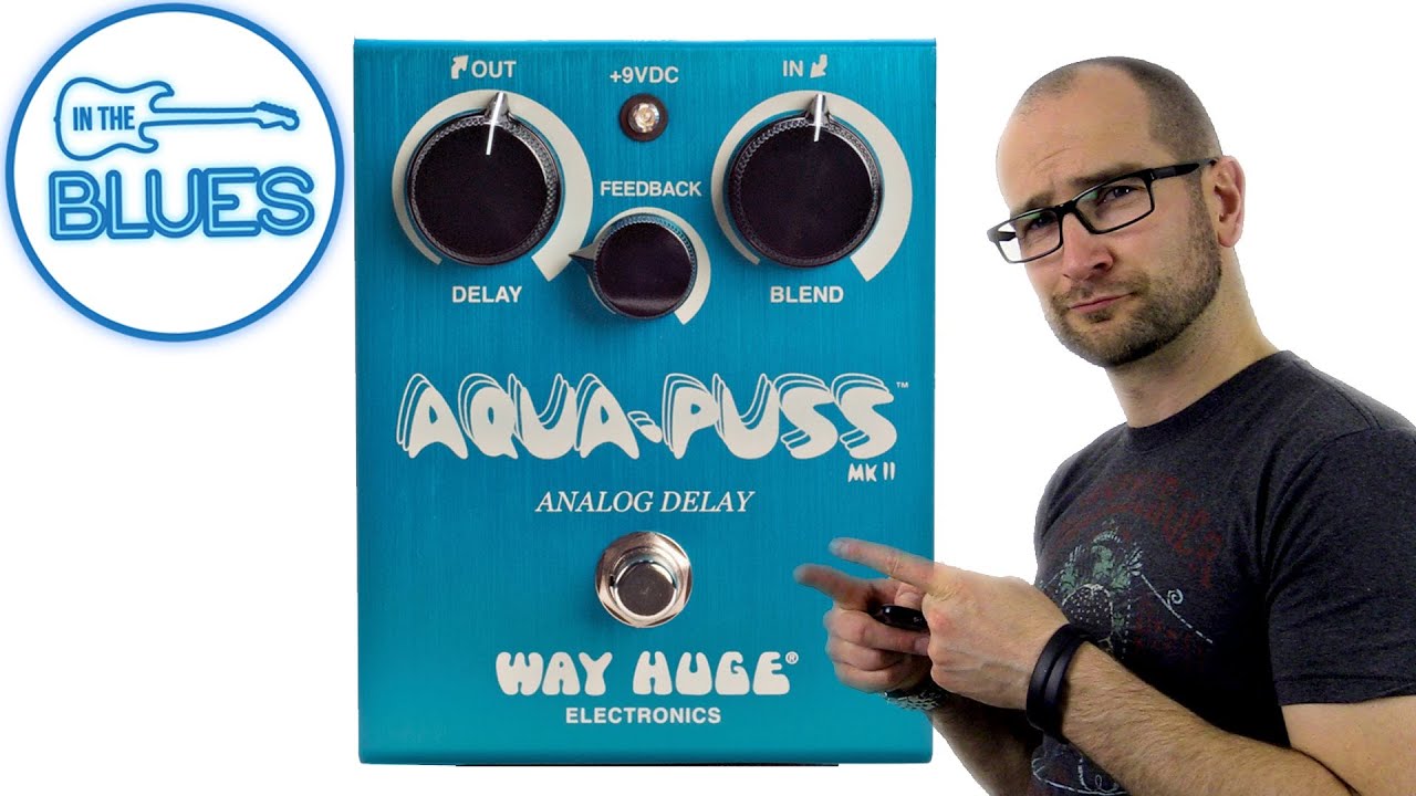 Aqua-Puss Analog Delay MkII Pedal - Way Huge Electronics - YouTube