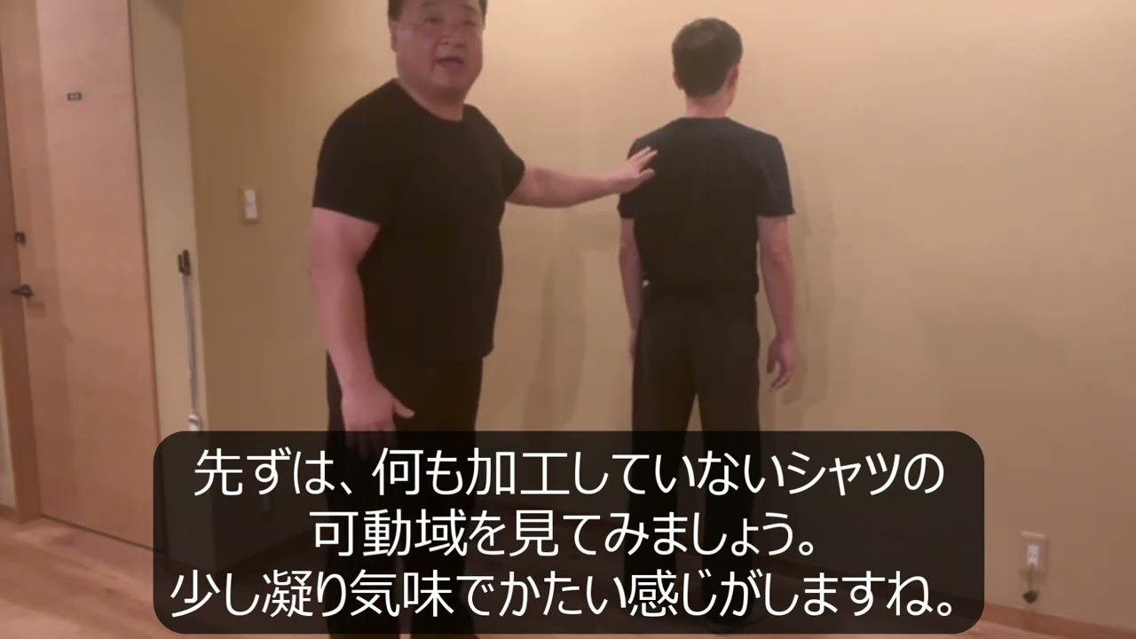 メダリスト・ジャパンショップ / 【プラズマ電子テープ】 天然鉱石に