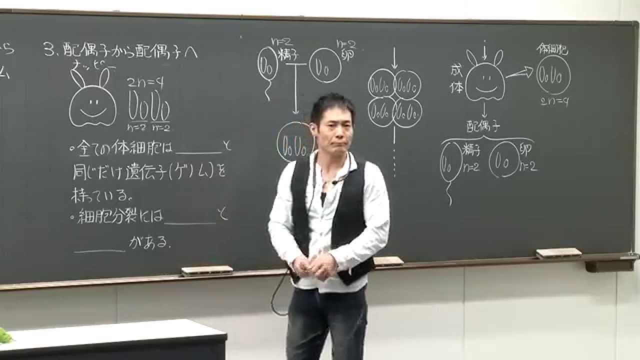 maxresdefault.jpg?sqp=-