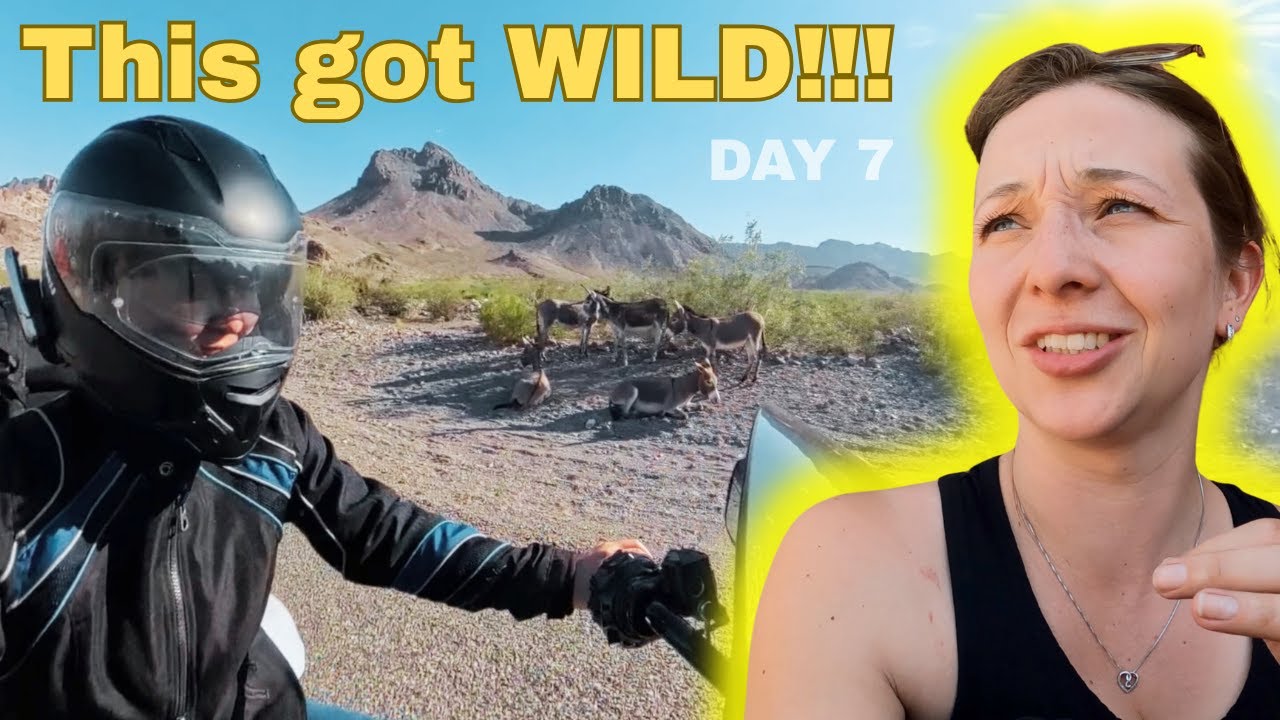 Arizona's Route 66: Burros, Beers & a Wild Ride to Kingman, Jerome