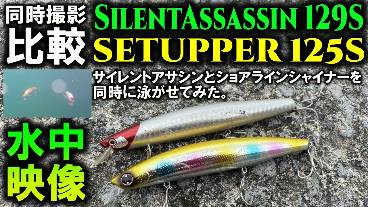 水中映像】サイレントアサシンとショアラインシャイナーZセット