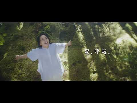 森の音 - doTERRA TIMES