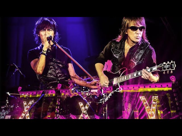 B'z / 核心【B'z LIVE-GYM Pleasure 2013 ENDLESS SUMMER -XXV BEST