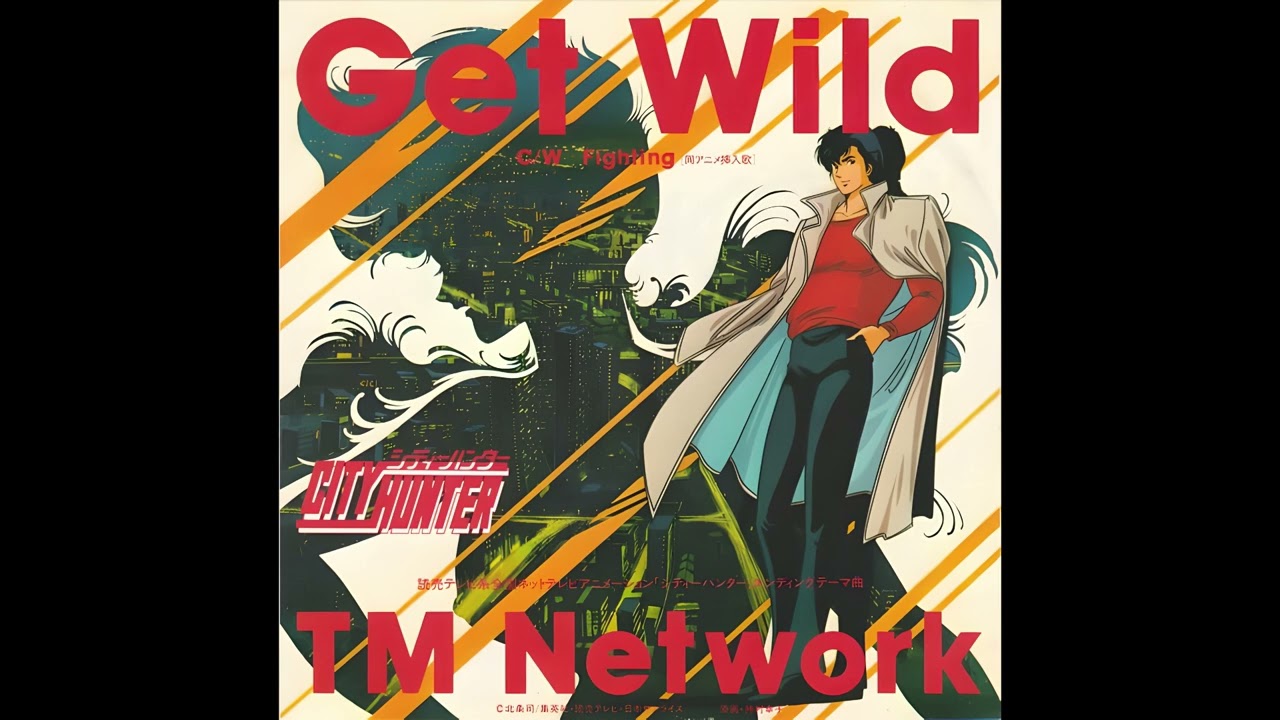 offvocal)TM NETWORK / Get Wild リアルカラオケ(Instrumental) アニメ