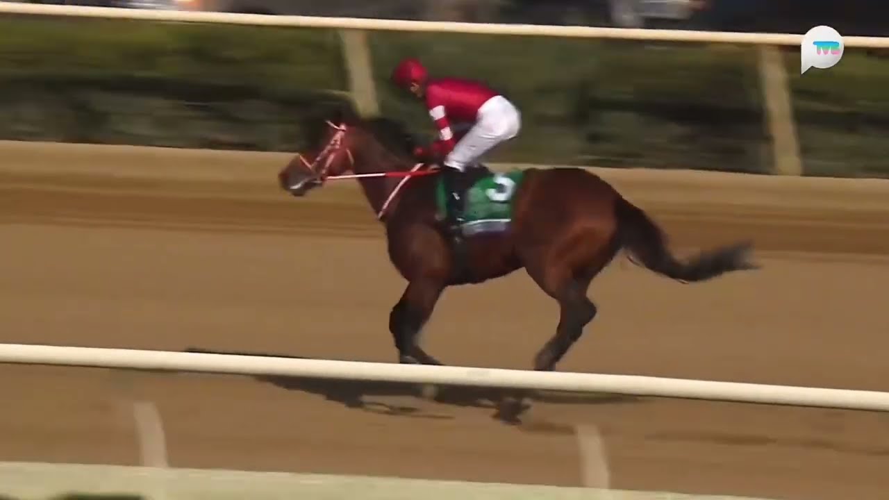 日本馬出走)2025年 第42回 ブリーダーズカップクラシック(G1