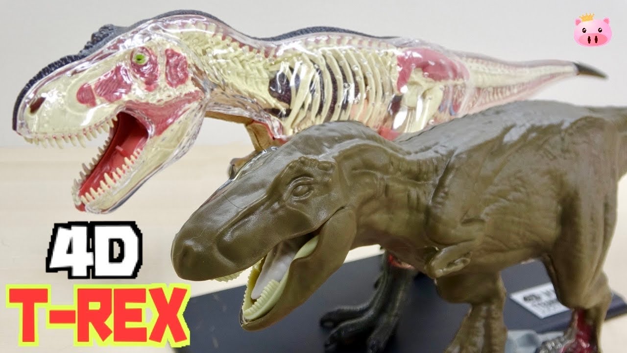 恐竜の体の中をじっくり見ながら組み立て! Discovery 4D T-REX ANATOMY