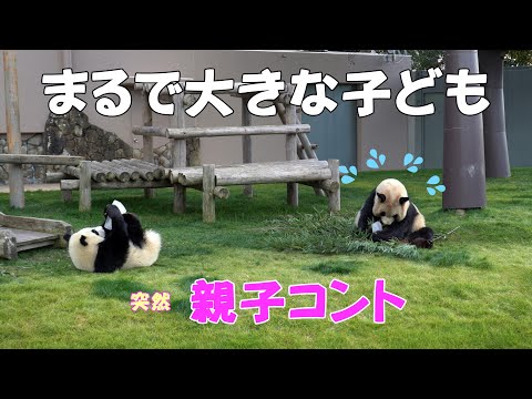 良浜ママが子どもに戻った瞬間、楓浜と乱闘中に起きた母の意外な一面が