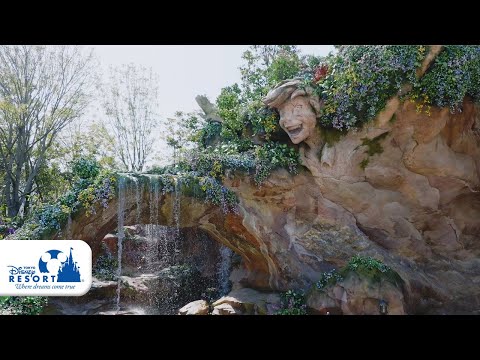 公式】「ファンタジースプリングス」オープン目前！“魔法の泉”の一部を