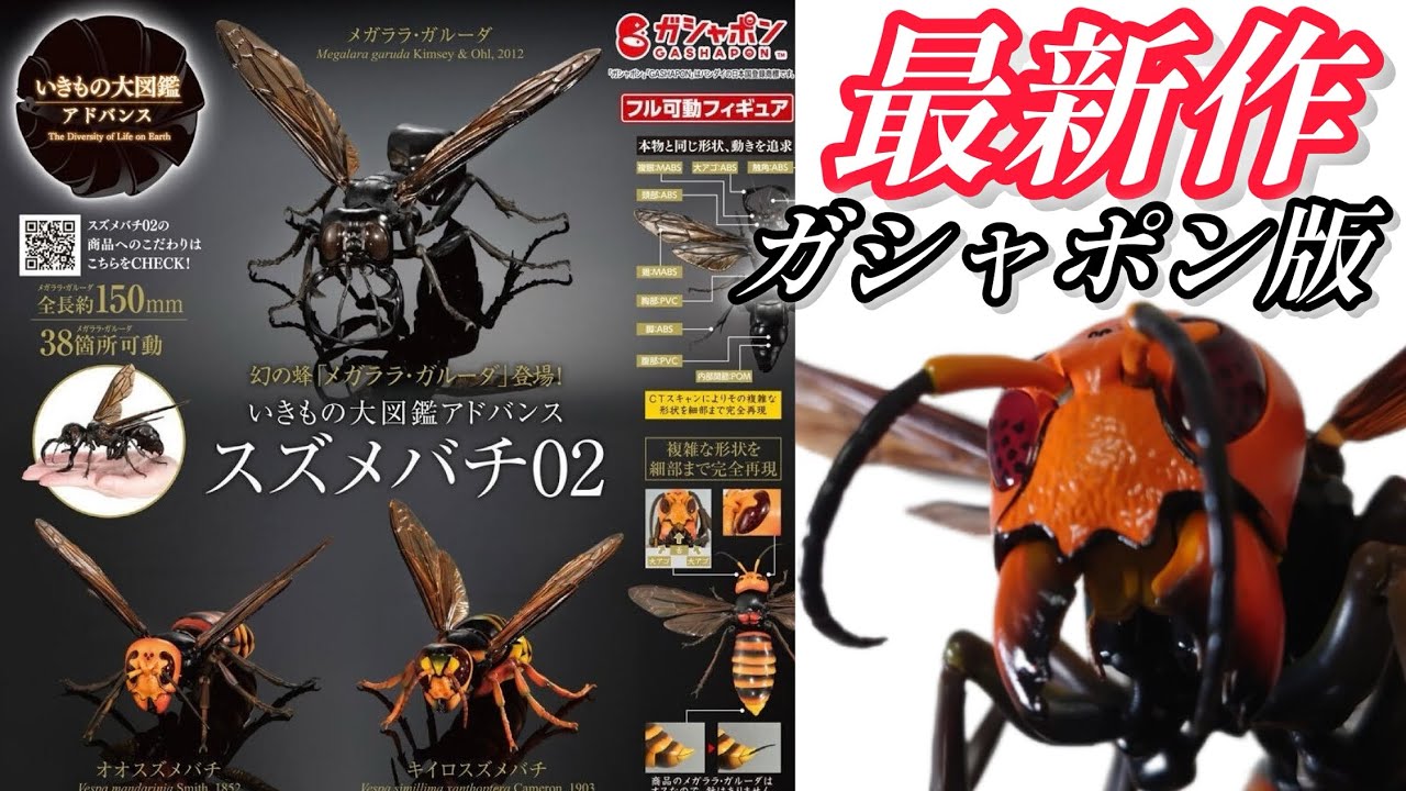 ガチャガチャ】いきもの大図鑑アドバンス『スズメバチ02』【最新作