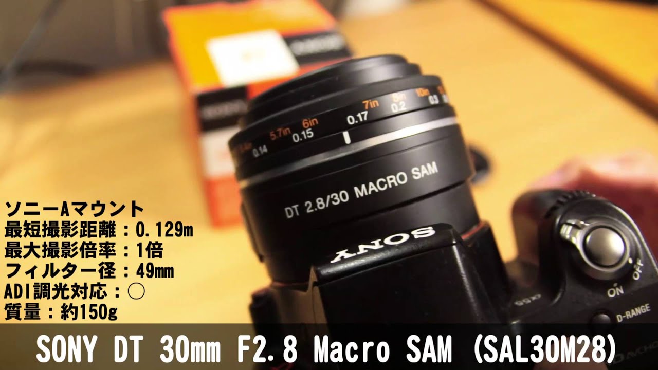 SONY DT 30mm F2.8 Macro SAM (SAL30M28) First Lens Review - YouTube