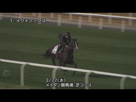 2023ドバイシーマクラシック】イクイノックスなど日本馬3頭の最終追い