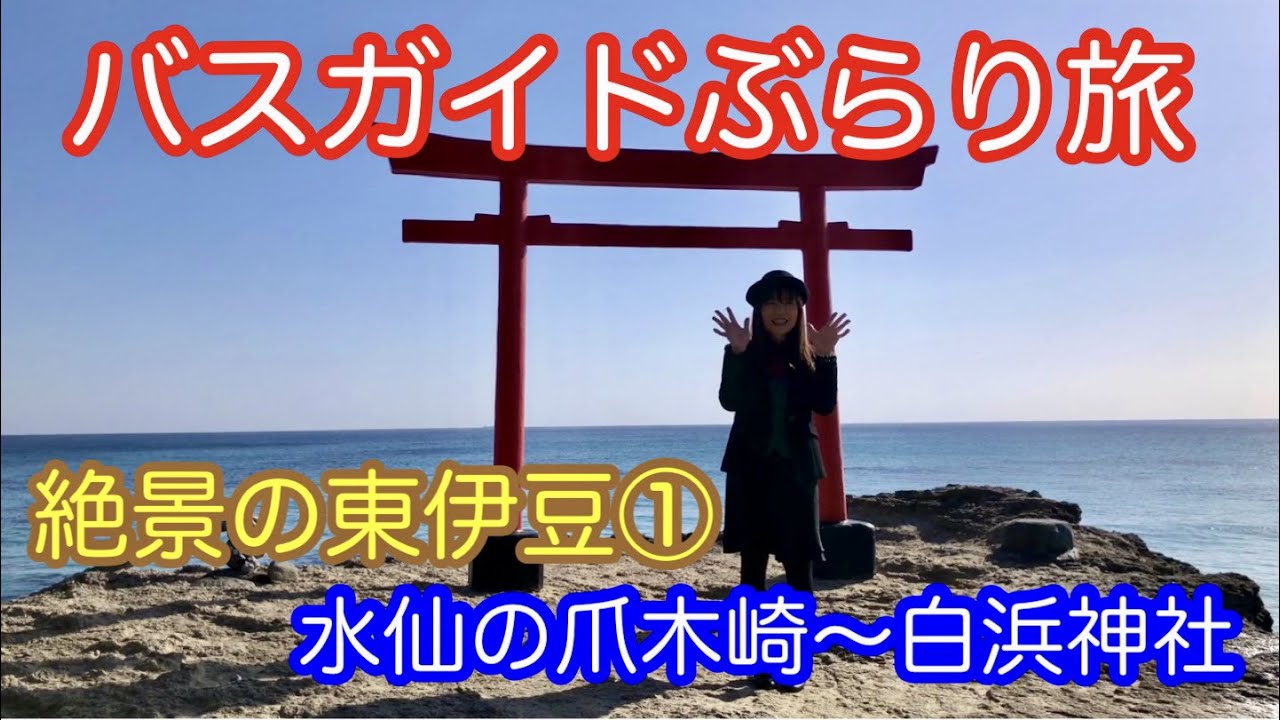 バスガイド教本 東京（首都高） バスガイド教本 首都高 バスガイド教本