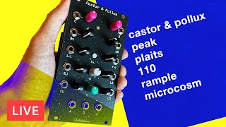 Winterbloom Castor & Pollux - Eurorack Module on ModularGrid