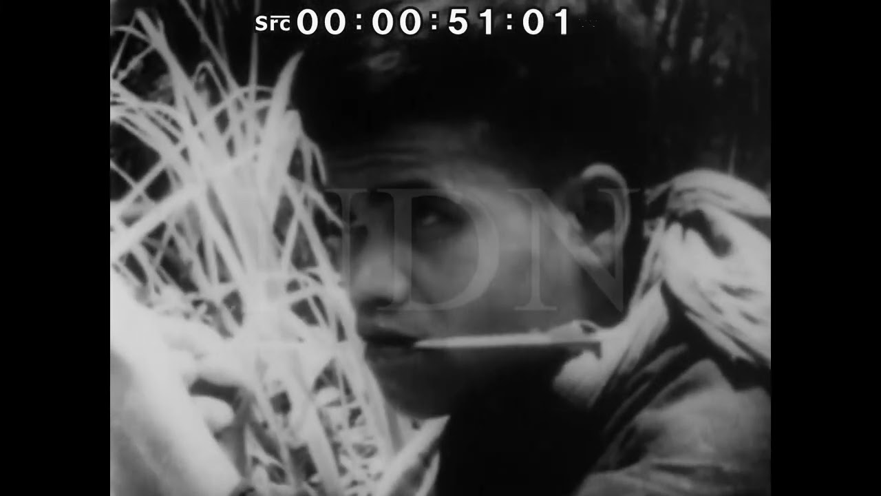 1965.11.05 武装する南ベトナムの少数民族 - YouTube