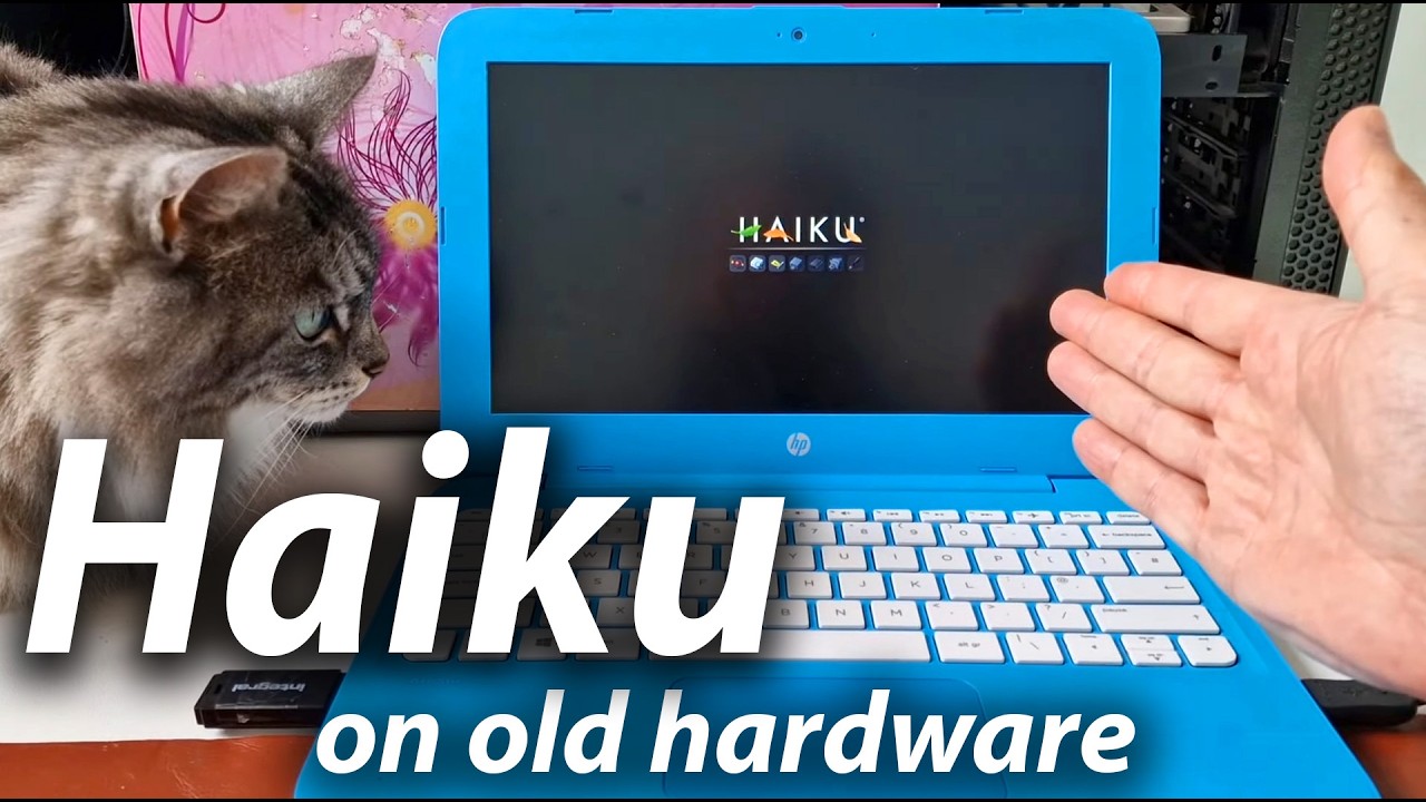 ChromeOS Flex on 2GB HP Stream 11 is it any good? - YouTube