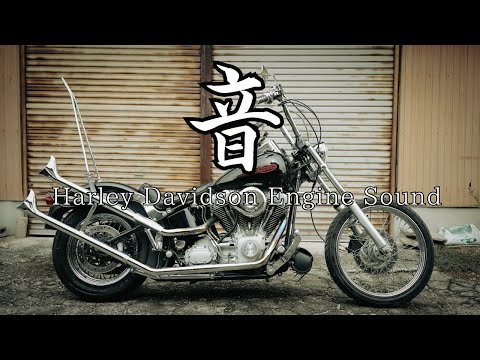 高音質】ハーレー三拍子のみの動画 TC88 フィッシュテール マフラー