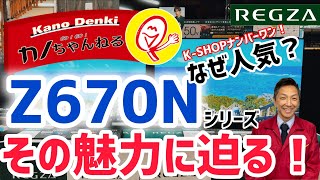 Why is it so popular? Exploring the appeal of the standard REGZA