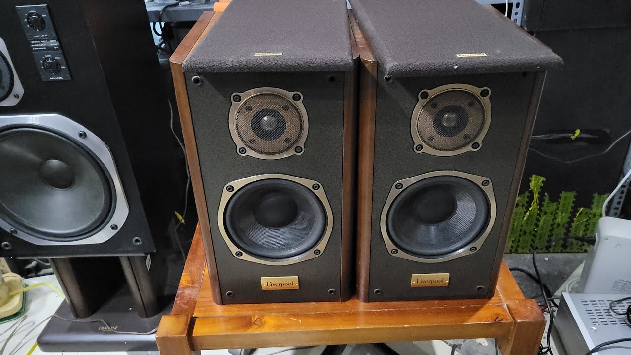 Onkyo D-500 Liverpool speakers, copper label series, great sound