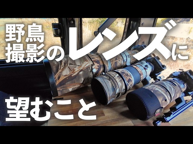 CHIBITA ch Vol122 What to look for in a lens for bird photography