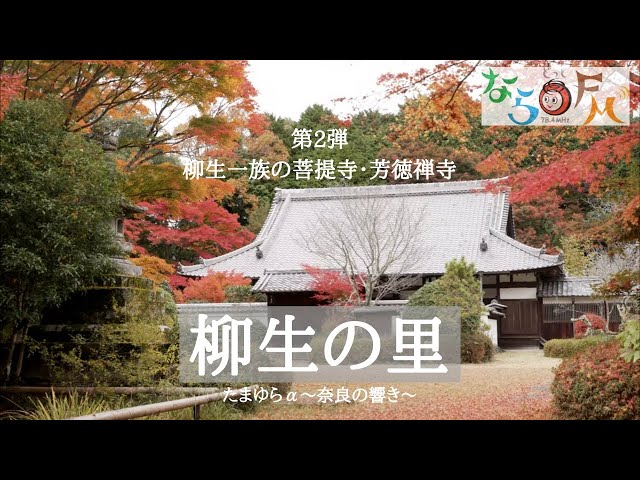 柳生の里【2】 柳生一族の菩提寺・芳徳禅寺 - YouTube