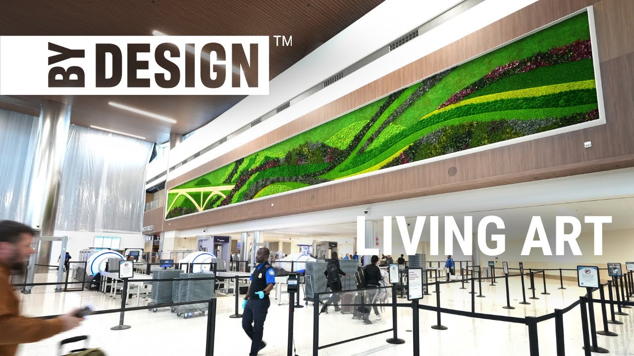 America ByDesign: Innovations | Season 4 - YouTube