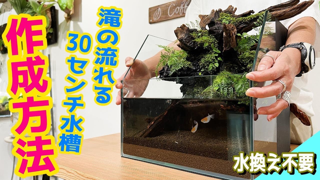 アクアリウム】滝の流れる30センチレイアウト水槽の作成方法（本当に水