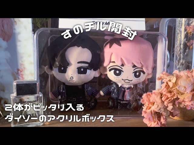 BIGすのチルが届いたので開封·͜·ᰔᩚダイソーで収納ケースも見つけまし