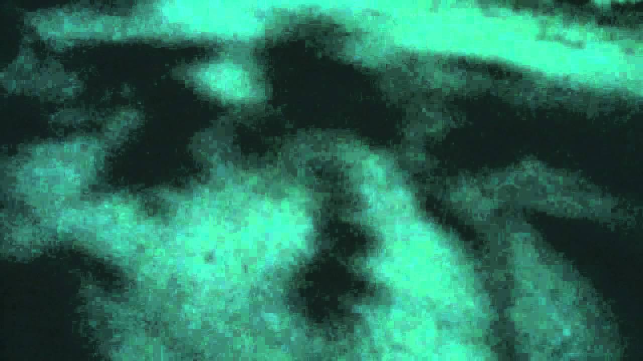 きのこ帝国 - 夜が明けたら(MV) - YouTube