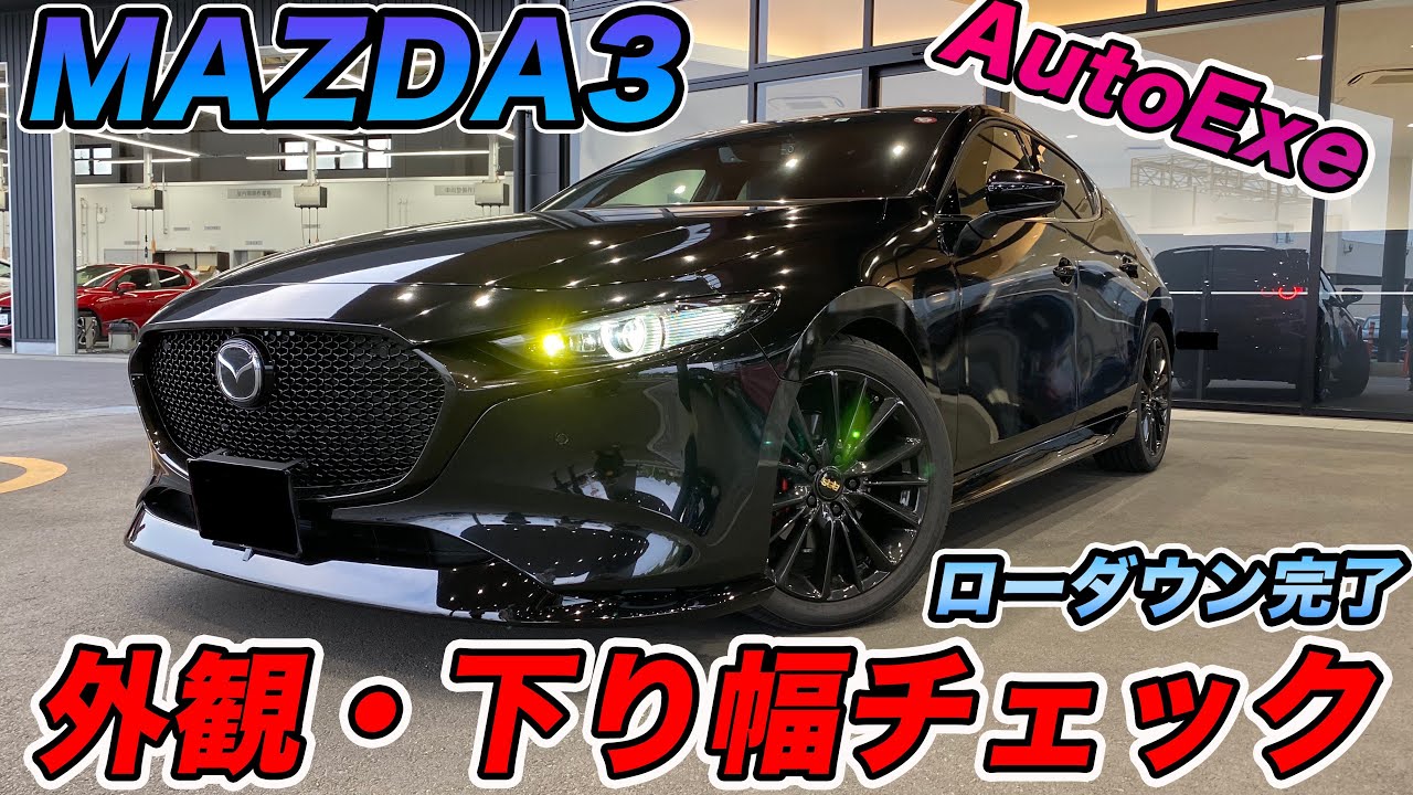 AutoExe] Check out the appearance and lowering of the lowered