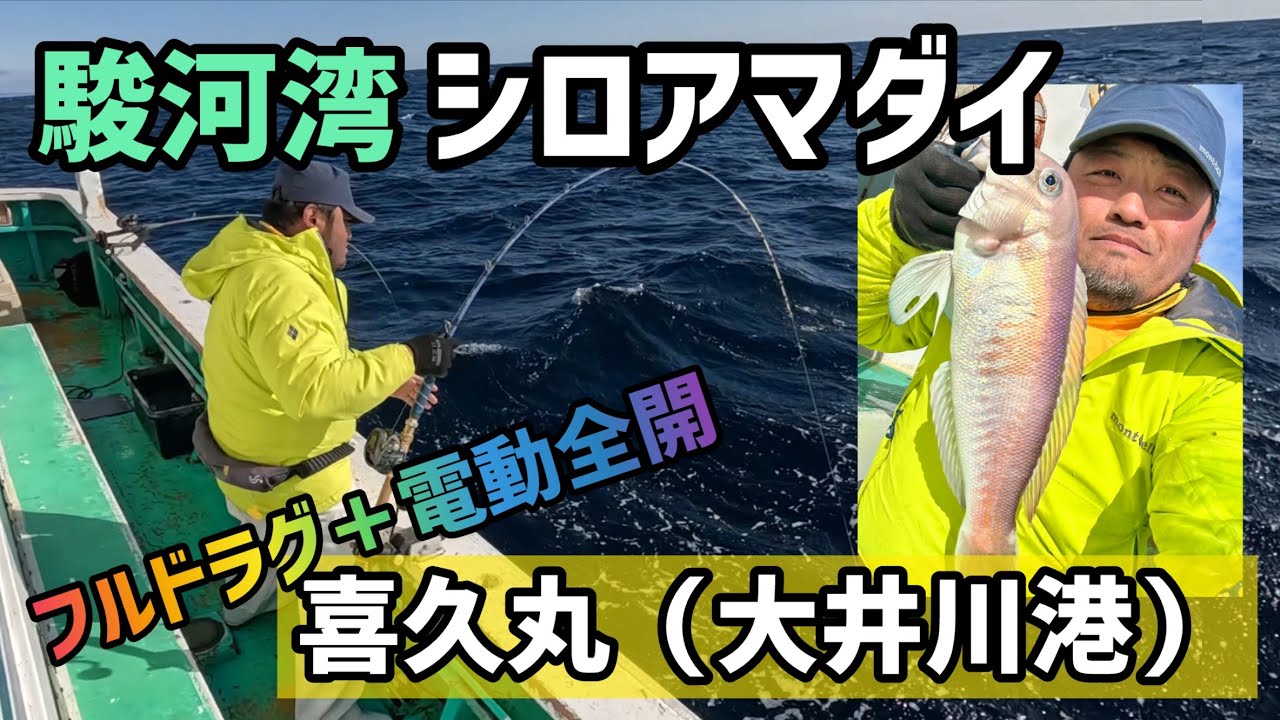 Suruga Bay White tilefish] Full drag + full power against the