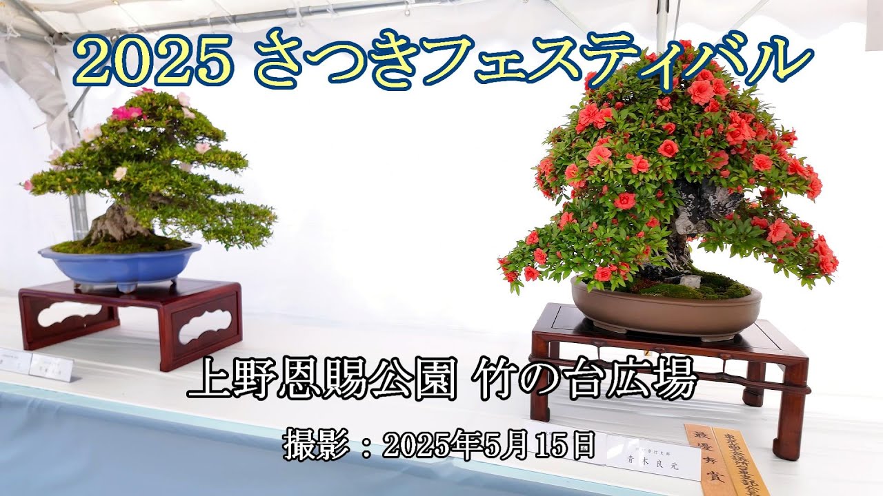 2025さつきフェスティバル = 上野恩賜公園 竹の台広場 = [4K] 2025