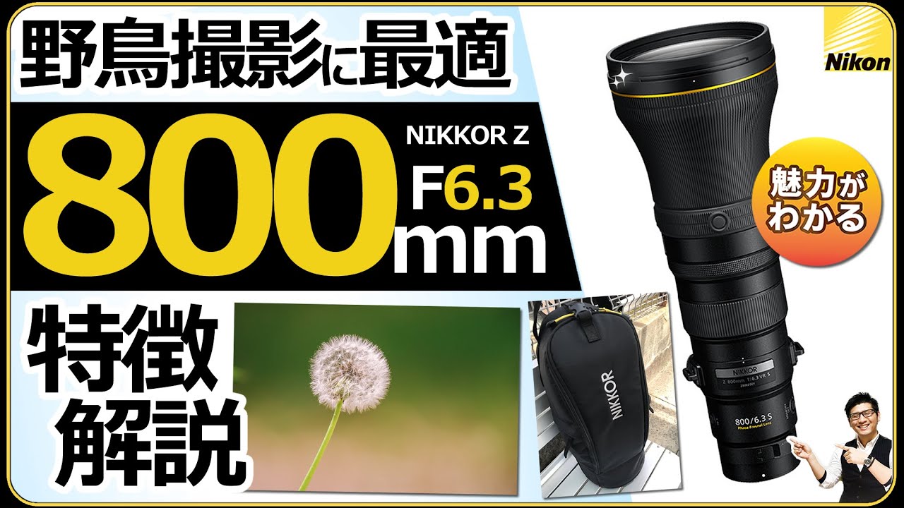 ニコン NIKKOR Z 800mm f/6.3 VR S ミラーレス一眼カメラでの野鳥撮影