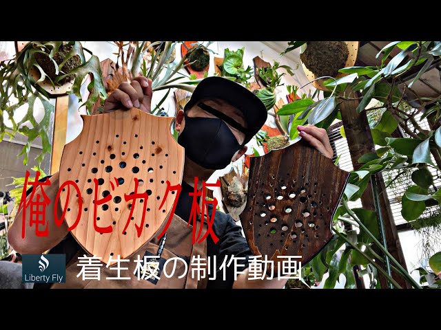 ビカクシダ着生板の制作動画 - YouTube